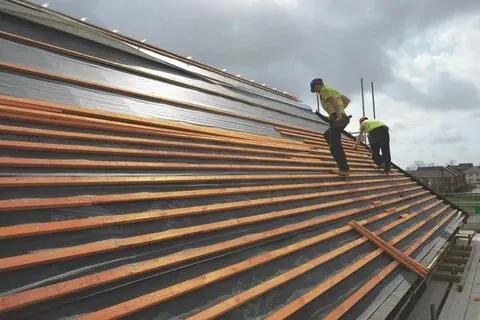 Growing Up: The Sustainable Solutions of The Green Roof Company