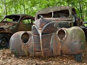 Selling Your Old Car? Discover How to Cash in on Your Junk in Willisville, IL