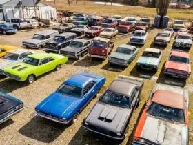 Discover Hassle-Free Nationwide Car Selling with Pick-n-Pull