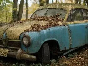 Effortlessly Sell Your Calhoun, IL Junk Car for Cash