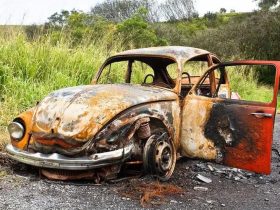 How Much Cash Can You Earn Selling Your Old Car?