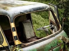 Discover Easy Steps to Sell Your Junk Car in Cutler, IL