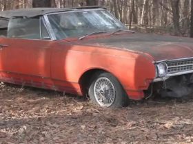 Top Cash for Junk Cars in Schaumburg, IL