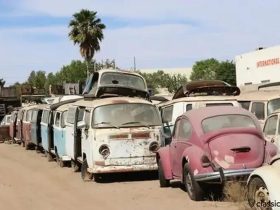 Easy Ways to Sell Your Junk Car in Wataga, IL