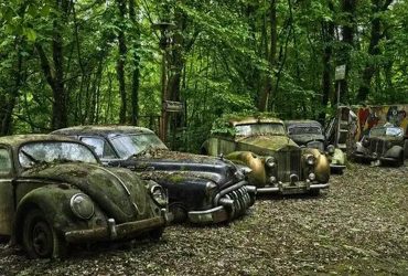 Get Cash Fast for Your Junk Car in Wapella, IL