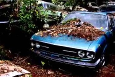 Easy Steps to Sell Your Junk Car in Bellmont, IL