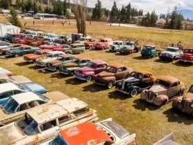 Top Tips to Sell Your Junk Car in Waukegan