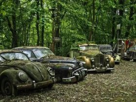 Cash for Junk Cars In Waukegan: A Convenient Solution