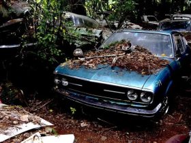 Top cash for junk cars in Aurora, IL