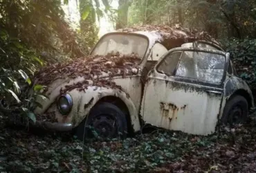 Quick Cash for Clunkers: Sell Your Junk Car in Springfield, IL