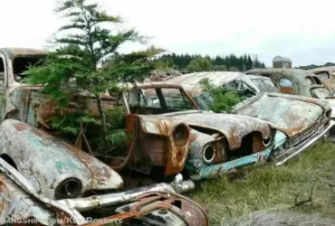 Get Cash Today for Your Junk Car in Springfield