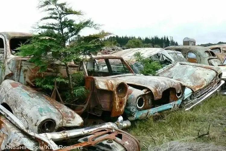 Get Cash Today for Your Junk Car in Springfield