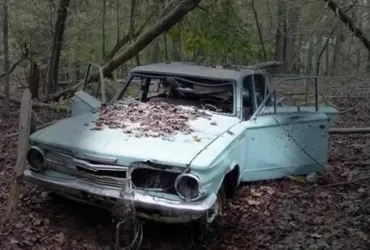 Top Solution for Selling Junk Cars in Cicero, IL