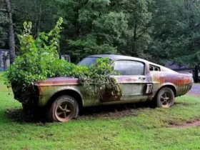 Selling Your Junk Car Made Easy in Cicero, Illinois