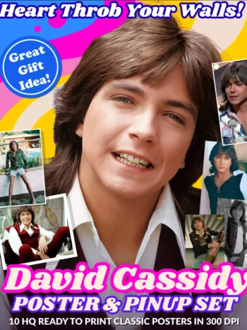 David Cassidy Posters & Pinup Set