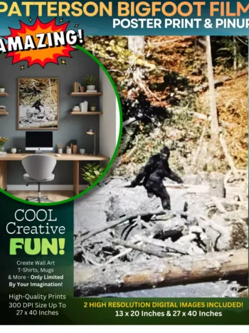 Patterson Bigfoot Film Poster Print & Pinup