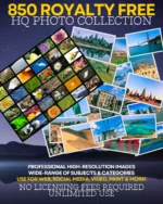 850 Royalty Free HQ Photo Collection