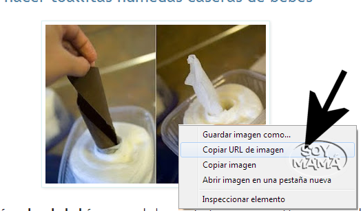 copiar URL de la imagen