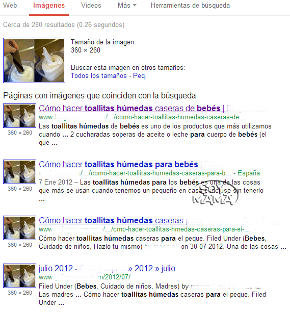 resultados busqueda por imagenes