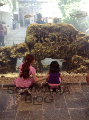 acuario1