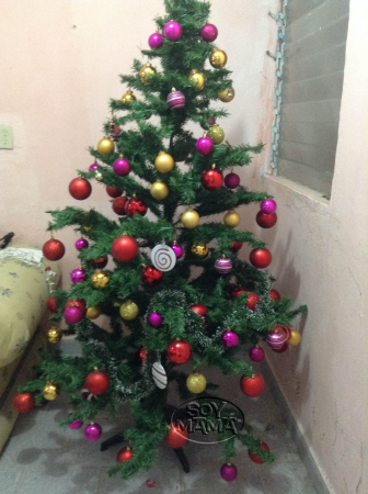 armando el arbolito 2013