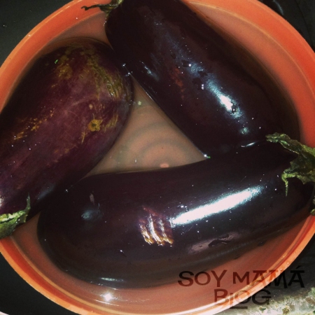 Berenjenas en agua