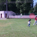 Mis amores de otoño