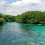 Mis 5 actividades favoritas en Tulum