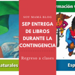 SEP: Entrega de libros durante la contingencia
