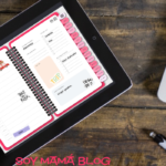 Review App GoodNotes 5