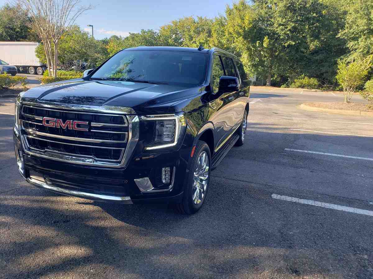 Professional Chauffeur