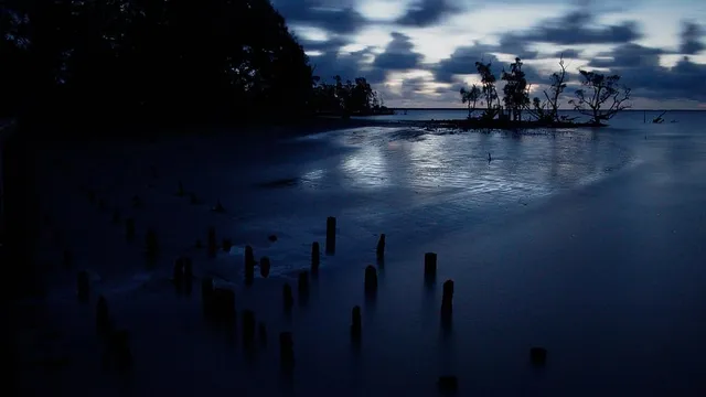 1024px-Sunsets_of_Sundarbans_Bangladesh_01.jpg