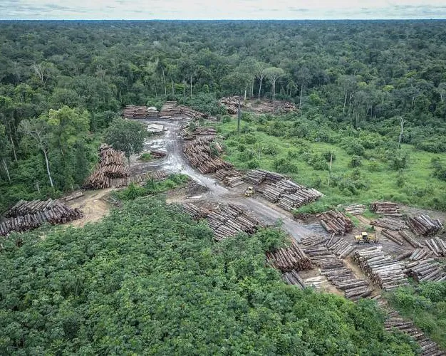 Campanha Pnuma Fé pelas Florestas reforça objetivos do sínodo da Amazônia