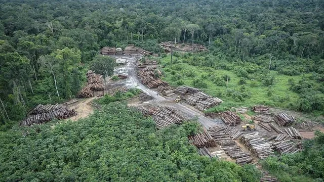 Campanha Pnuma Fé pelas Florestas reforça objetivos do sínodo da Amazônia