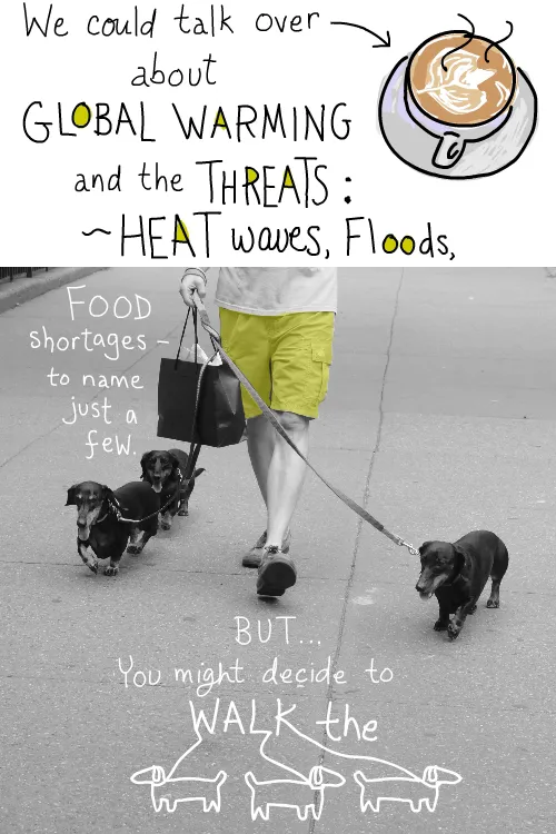 photo of 3 dogs being walked by Franke James