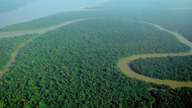 2048px-Aerial_view_of_the_Amazon_Rainforest.jpg