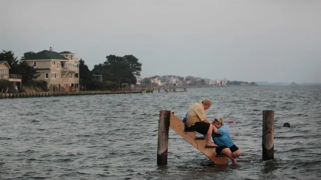 222be0611d504c0493b718817dfeb3fc_970x.jpg