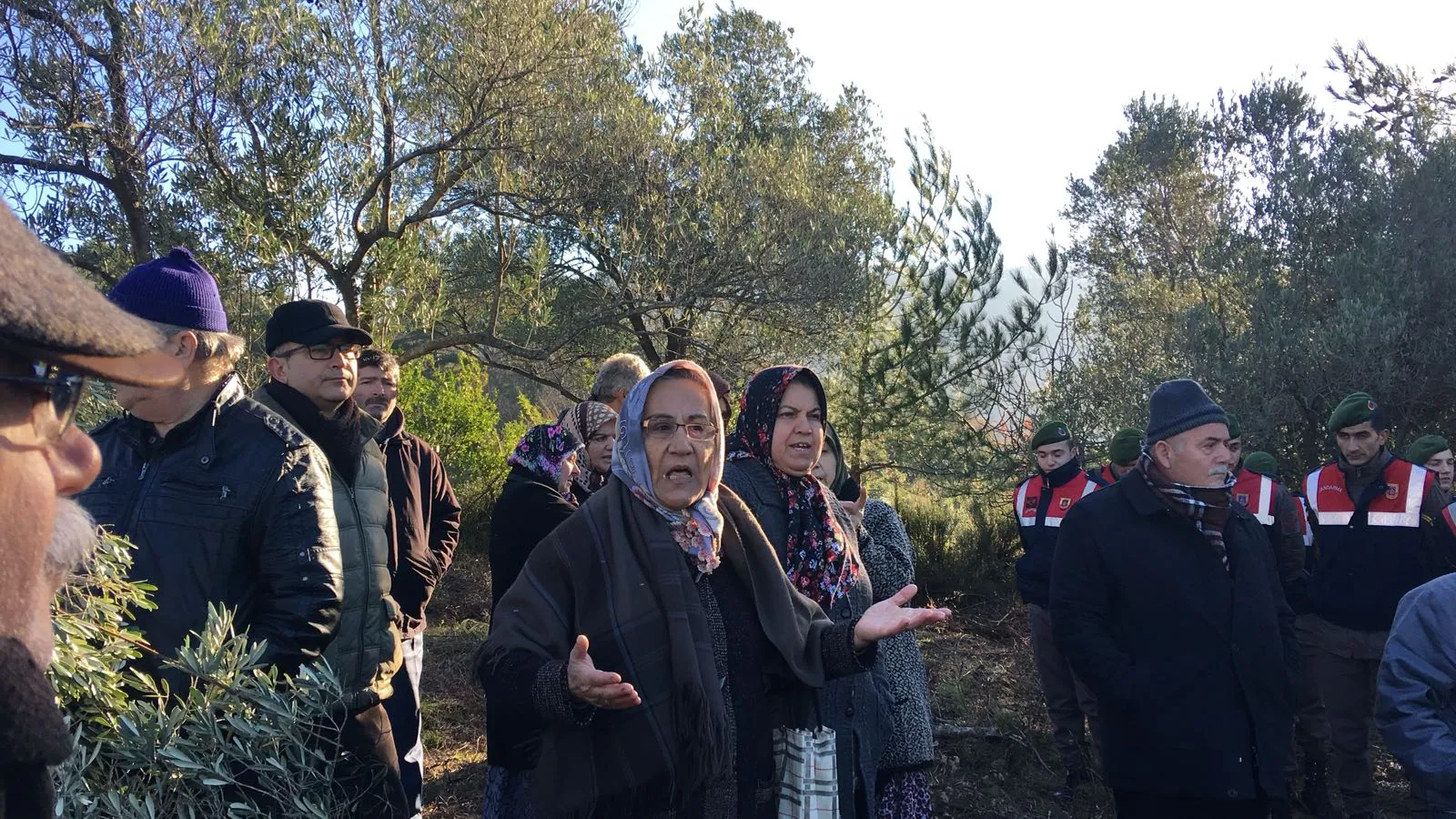 25AralıkZeytinlik-8.jpeg