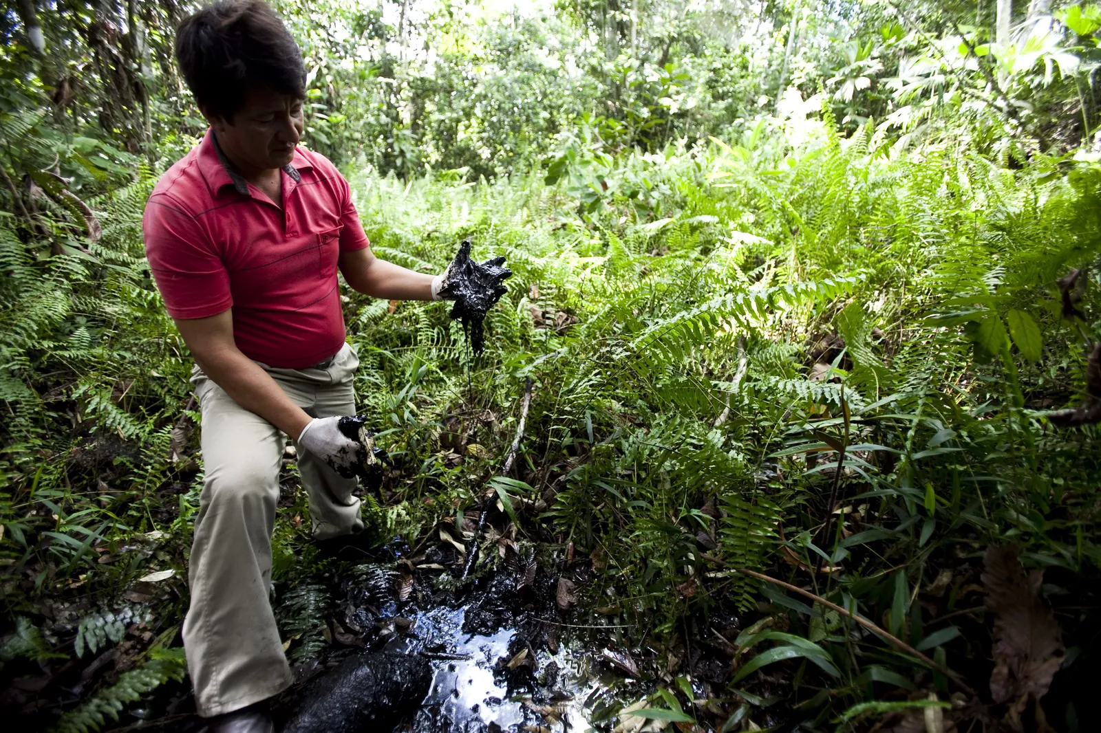 2.-Amazon-Ecuador.jpg