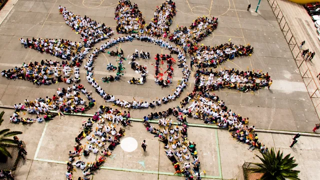 aerial shot of 350 as the center of sunflower made by people standing, taken in Mexico City in 2009
