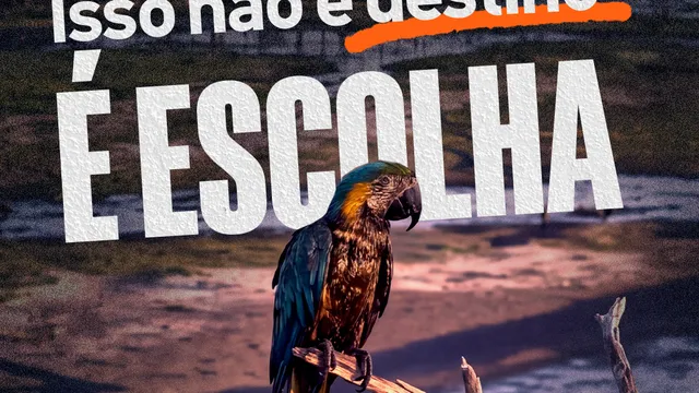 Arara suja de petróleo no meio do cerrado é um risco real caso áreas sejam leiloadas ali.