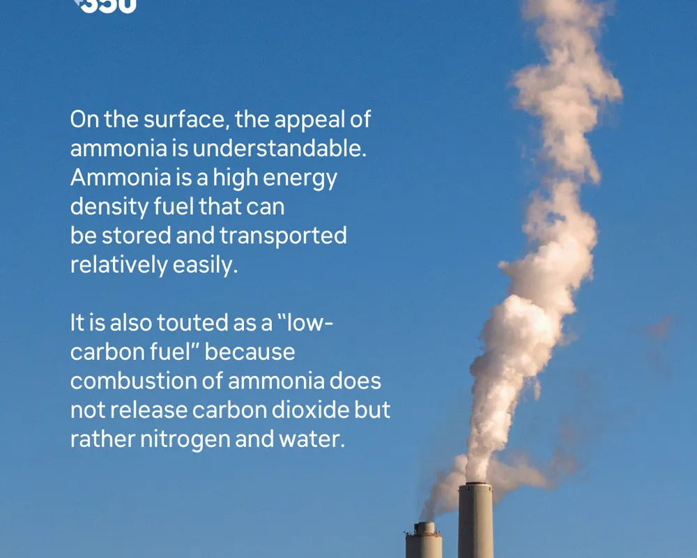 Graph reading 'How effective is 350.org in engaging you in campaigns and organising to address the climate crisis?'