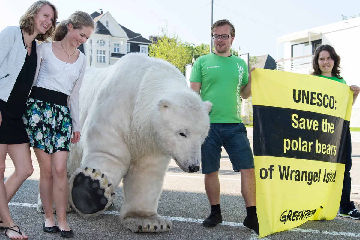 Greenpeace Paula Bear visits the UNESCO World Heritage Conference in Bonn. Volunteers holding banners in German and English:"UNESCO - Save the Polar Bears of Wrangel Island". Greenpeace Paula Baer besucht die UNESCO Welterbe Konferenz in Bonn. Ehrenamtliche halten Banner in Deutsch und Englisch mit der Aufschrift:"UNESCO: Schuetzen Sie die Eisbaeren der Wrangel-Insel!".