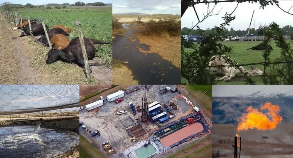 Testes para aquisição sísmica antecedem as pesquisas que permitem a perfuração do solo para fazer o fracking, contaminando a água e o solo, poluindo o ar, causando doenças nas pessoas e provocando a morte de animais Fotos: Internet