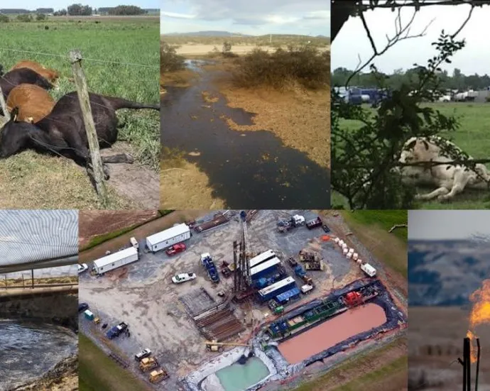 Mesmo a fase de pesquisa sísmica, já provoca impactos como contaminaçao da água e do solo, e poluiçao do ar, além de causar danos a saúde das pessoas e animais (Fotos: Internet).