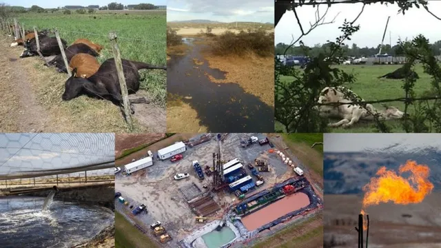 Mesmo a fase de pesquisa sísmica, já provoca impactos como contaminaçao da água e do solo, e poluiçao do ar, além de causar danos a saúde das pessoas e animais (Fotos: Internet).