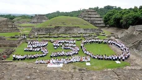 Paplanta 350, Veracruz, Mexico