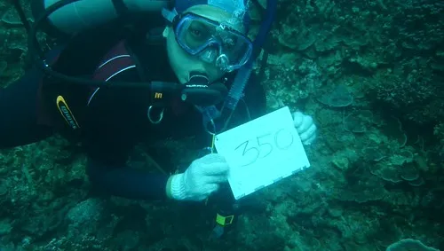 4048909716_9852263365.jpg