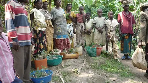 images journee de l'arbre