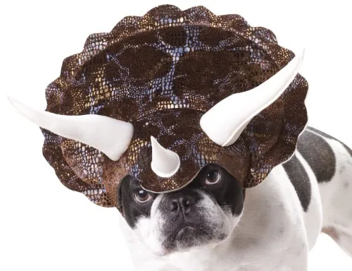 https://seasonalholidayguide.com/dog-dinosaur-costume-for-halloween/